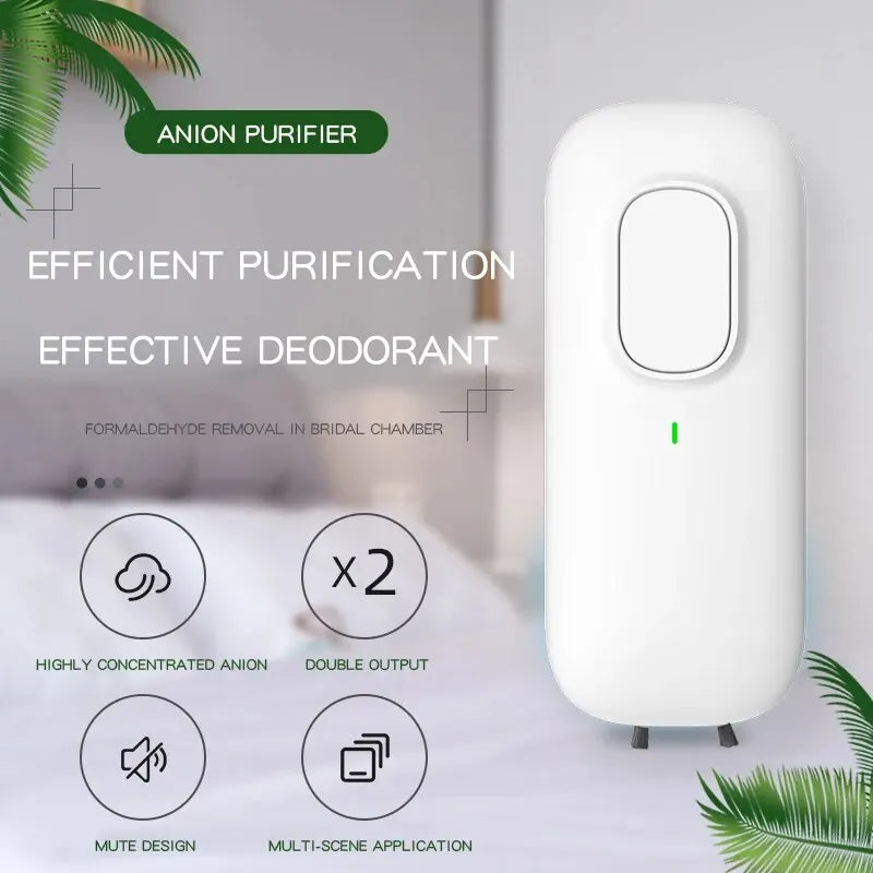 Mini Anion Purifie
