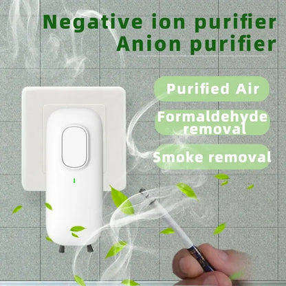 Mini Anion Purifie