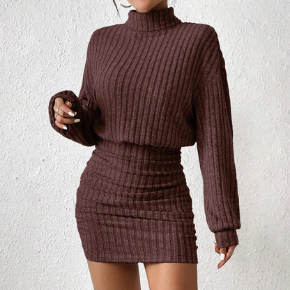 Mia Muse Women's Dresses Fall Winter Casual Plain Knitted Pullover Long Lantern Sleeve High Neck Mini A-Line Short Dresses